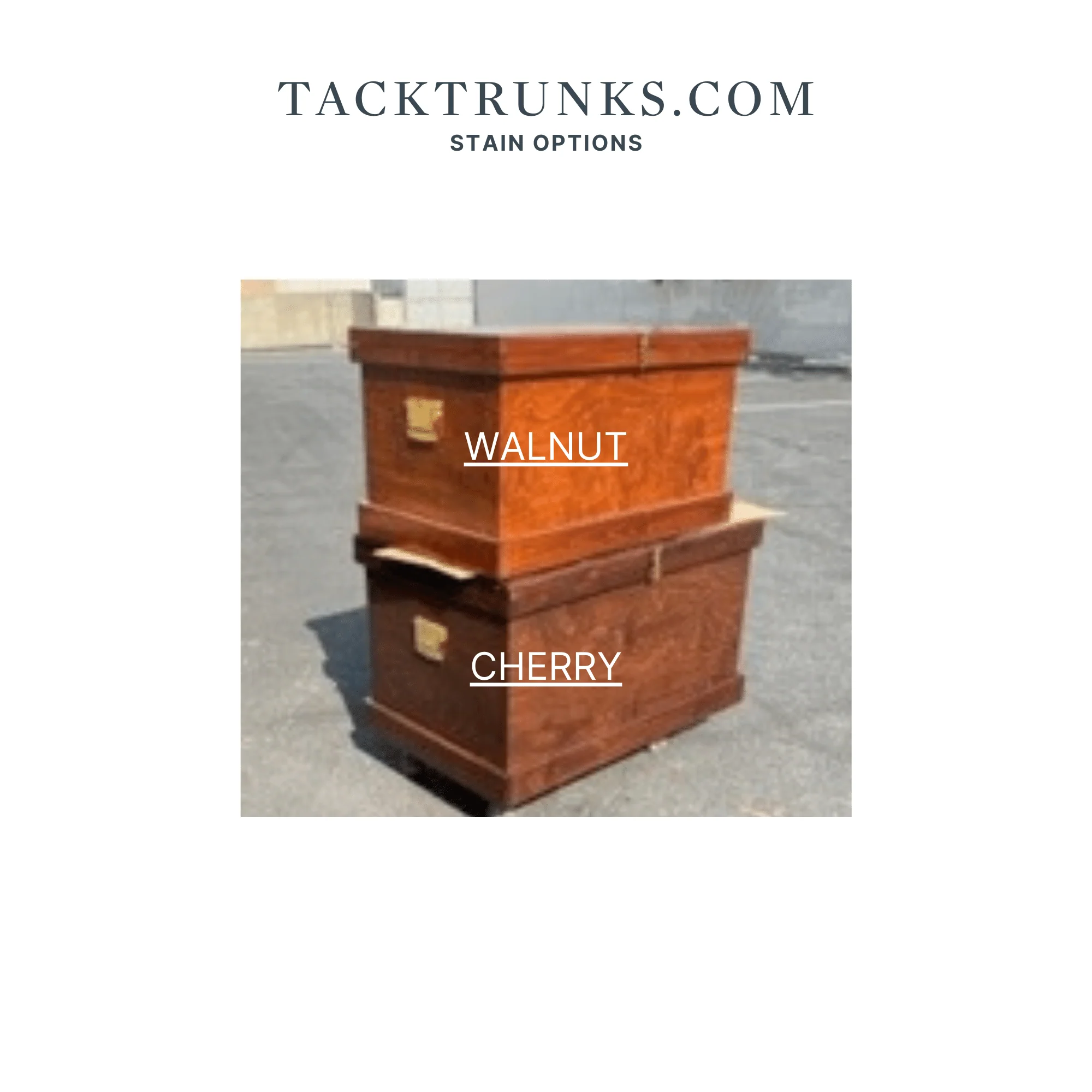 Starter Tack Trunk - Image 4
